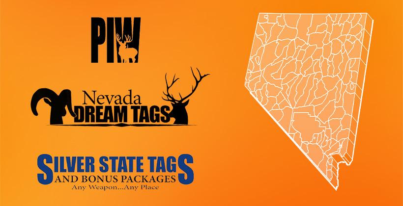Nevadas piw silver state and dream tags