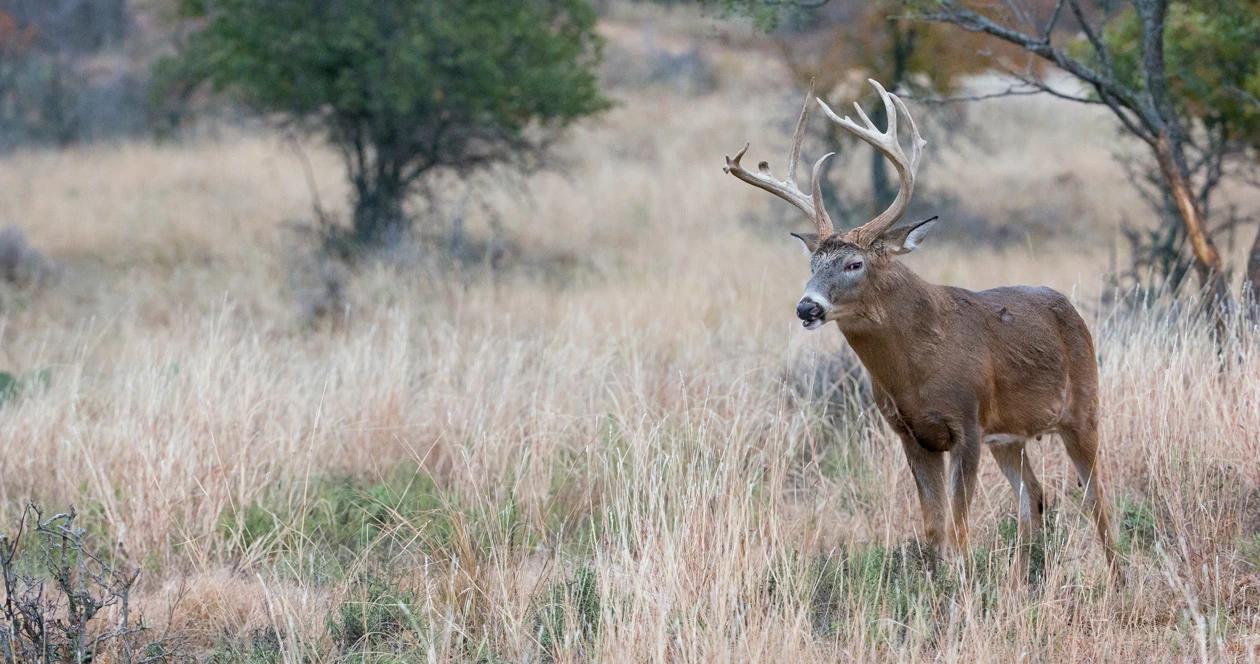 Nebraska poaching case h1