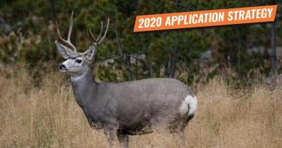 Deer antelope application strategy h1