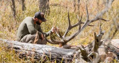 Planning an elk hunting using the moon and equinox 1