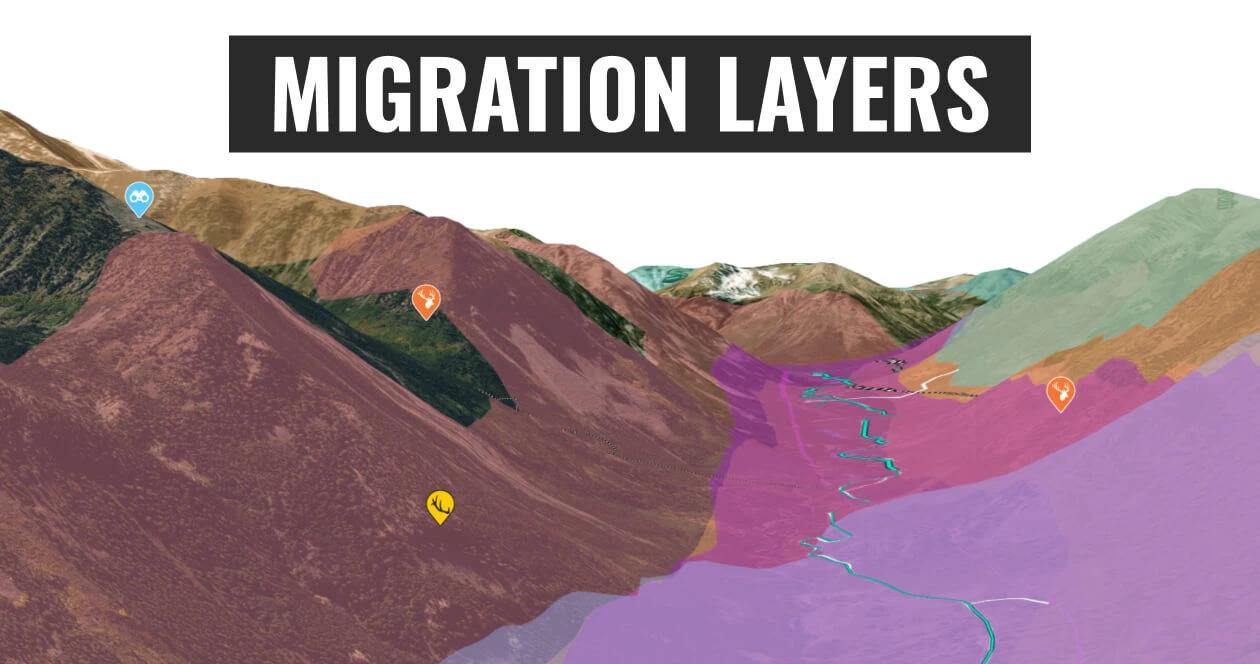 Migration_layers_h1