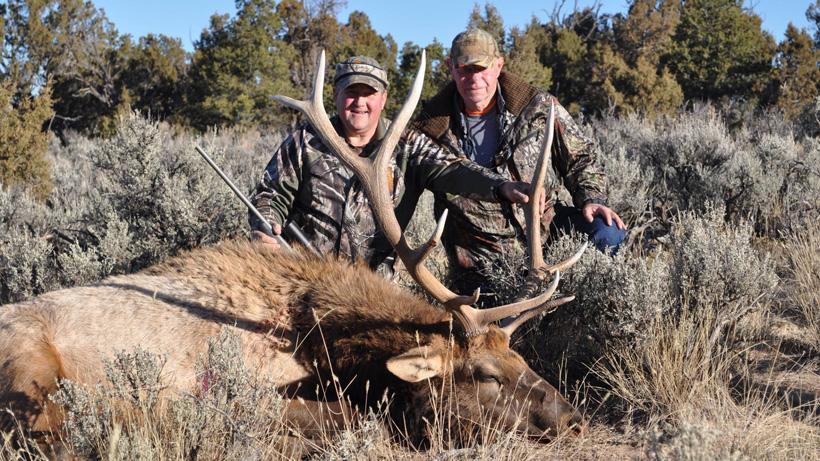 New mexico elk taken with t and r outfitting and guide service