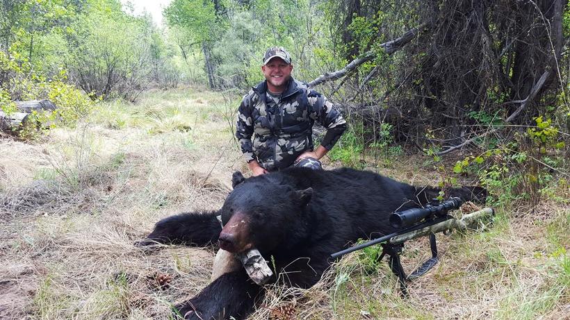 Black bear taken in arizona