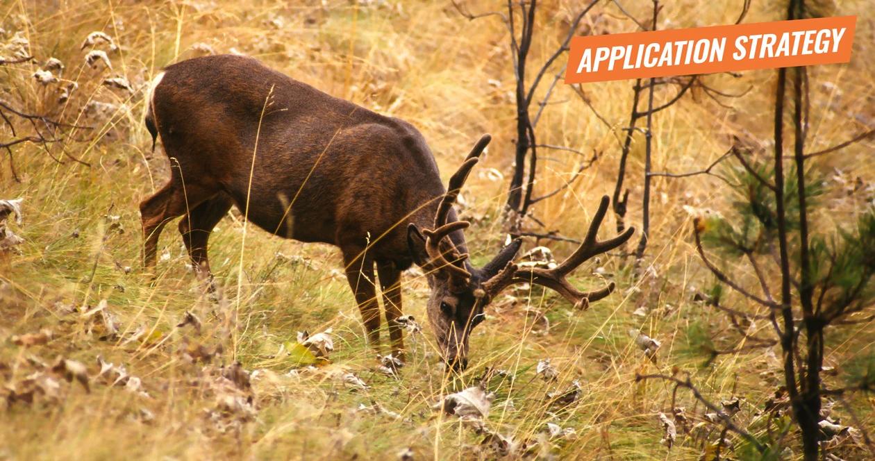 2018 california deer and antelope application strategy article 1