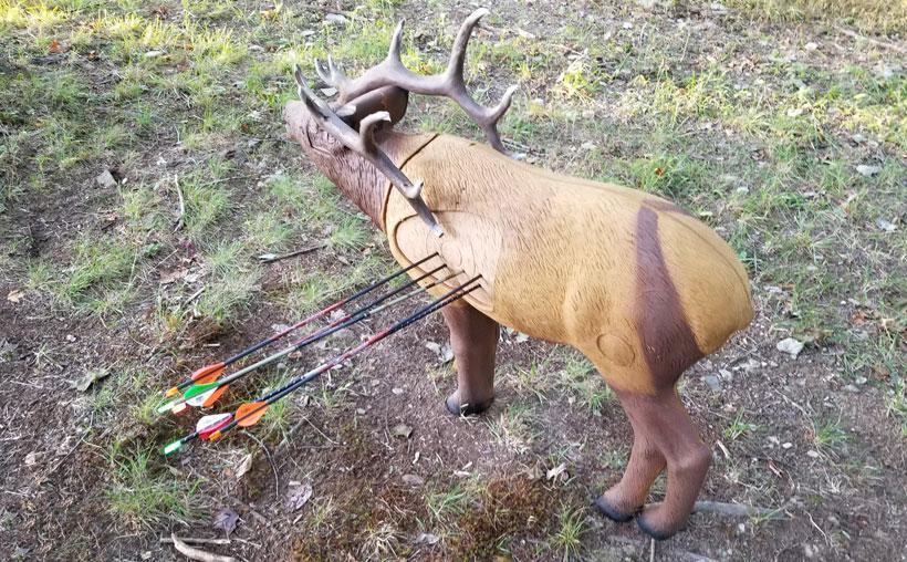 Archery practice for elk