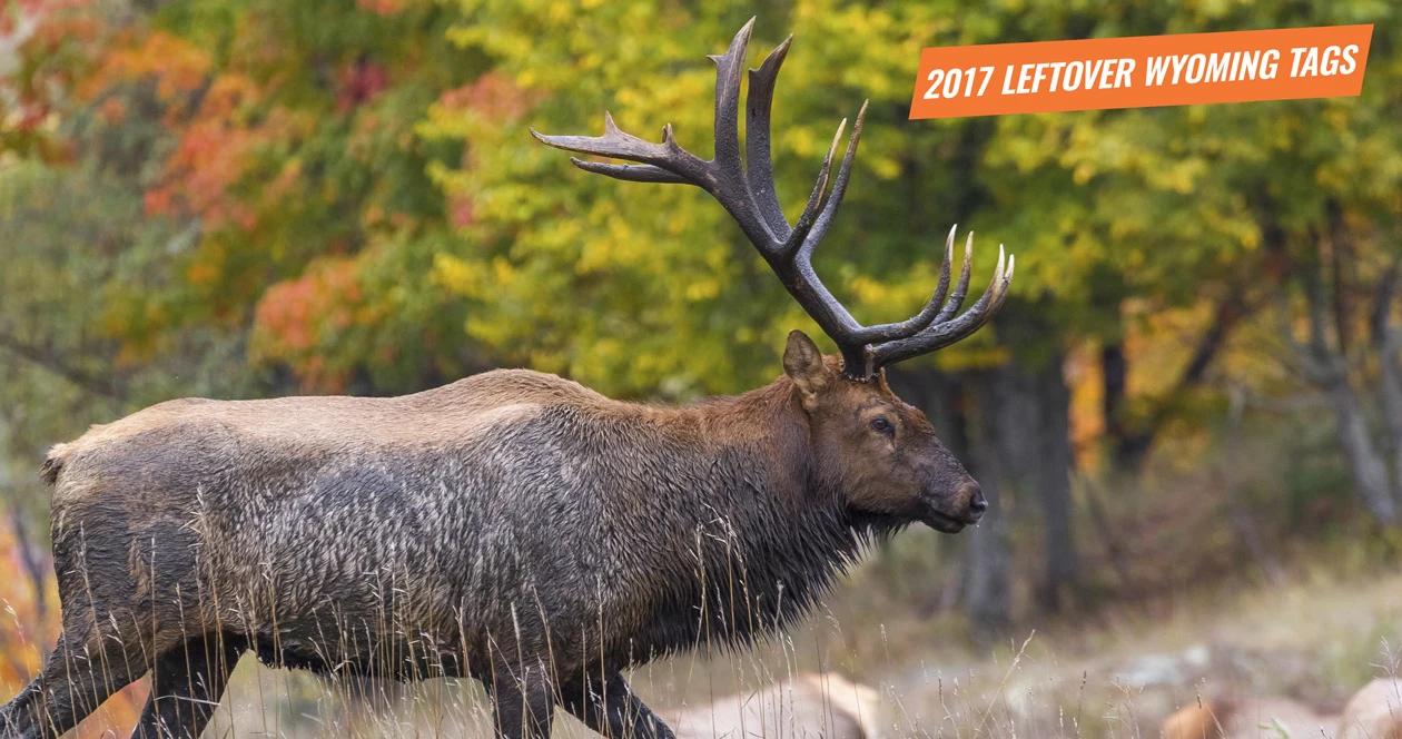 2017 wyoming leftover hunting tag list 1