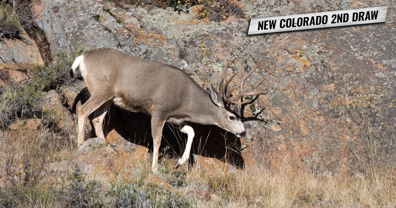 New colorado second draw for hunting licenses 1