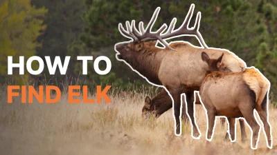 How to find elk using maps when e-scouting