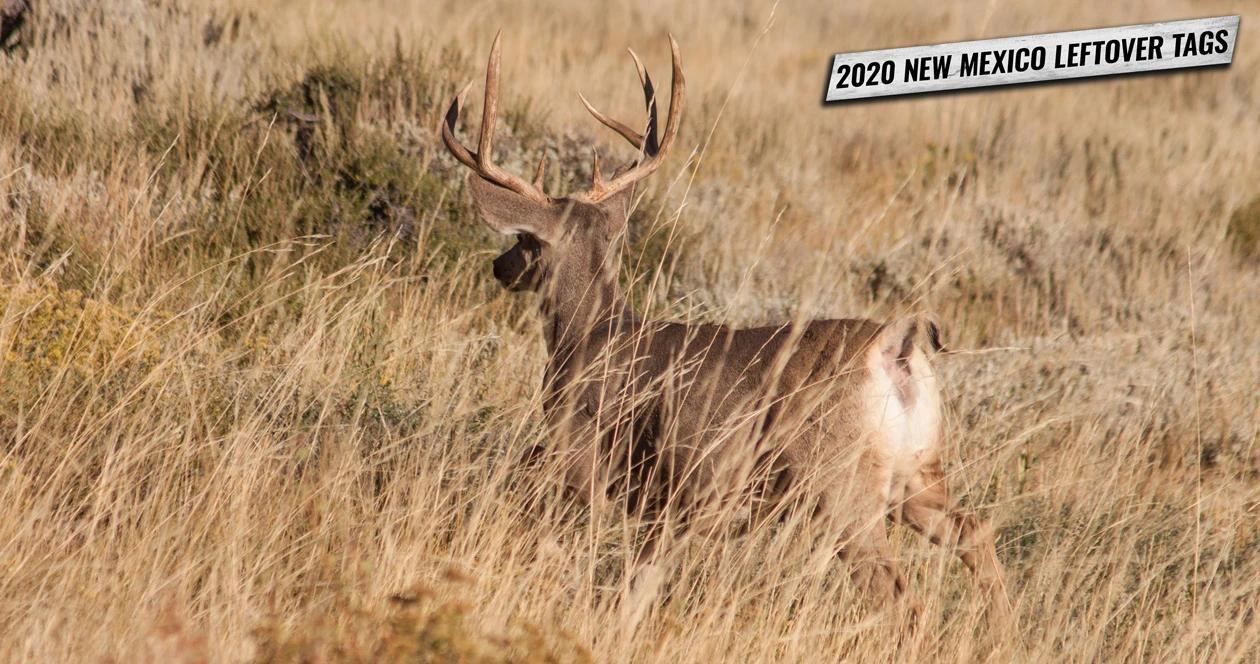 2020 new mexico leftover hunting tags 1