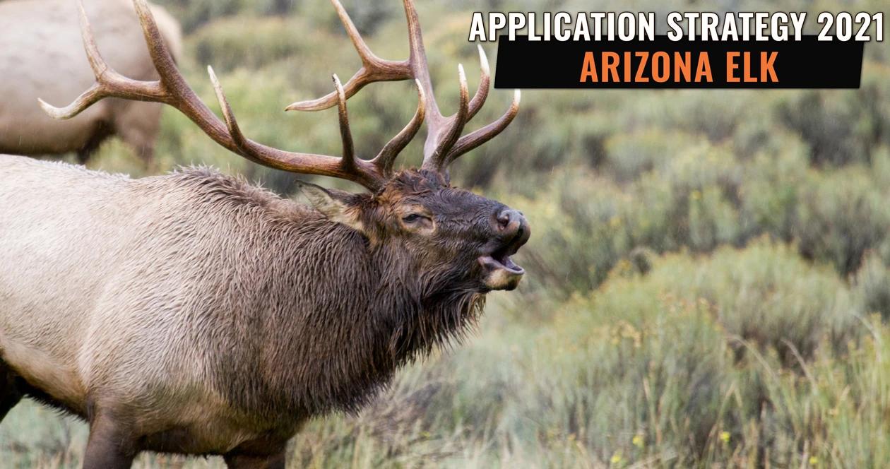 Arizona elk 2021 application strategy h1