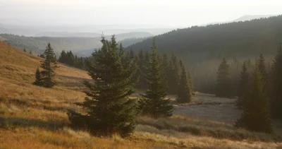 Mountains in northern New Mexico 1