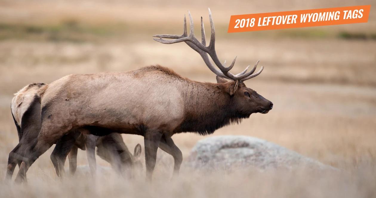 2018 leftover wyoming hunting license list 1