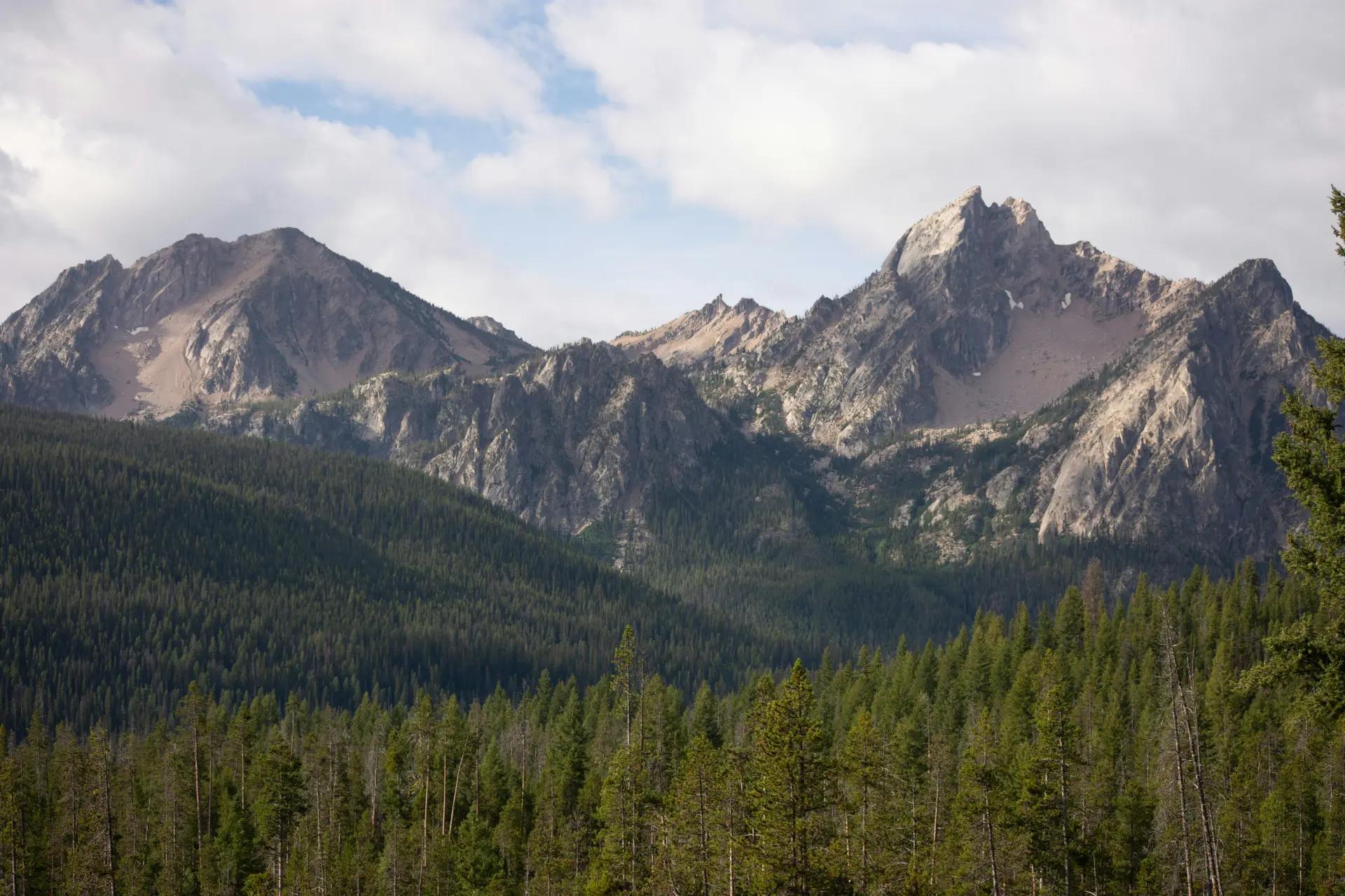 Idaho view of a mountain range with trees in the foreground