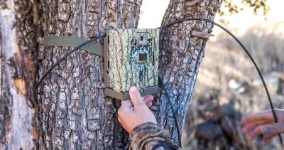 Potential arizona trail camera ban for hunting 1