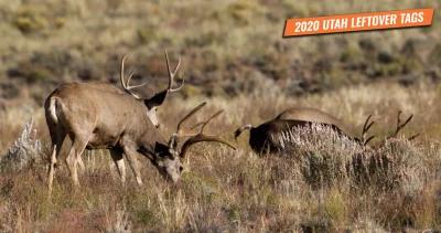 2020 utah leftover hunting permits 1