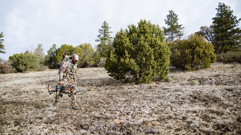 Endless stalking opportunities in arizona for over the counter deer