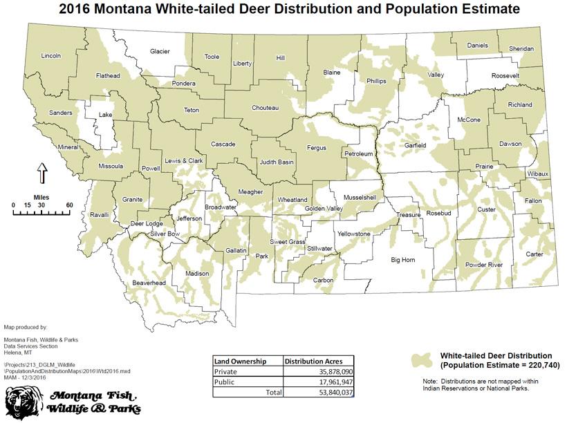 2016 montana whitetail deer distribution and population estimate