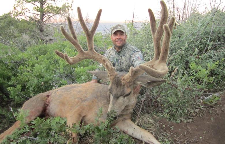 Dave loescher arizona strip mule deer 1_0