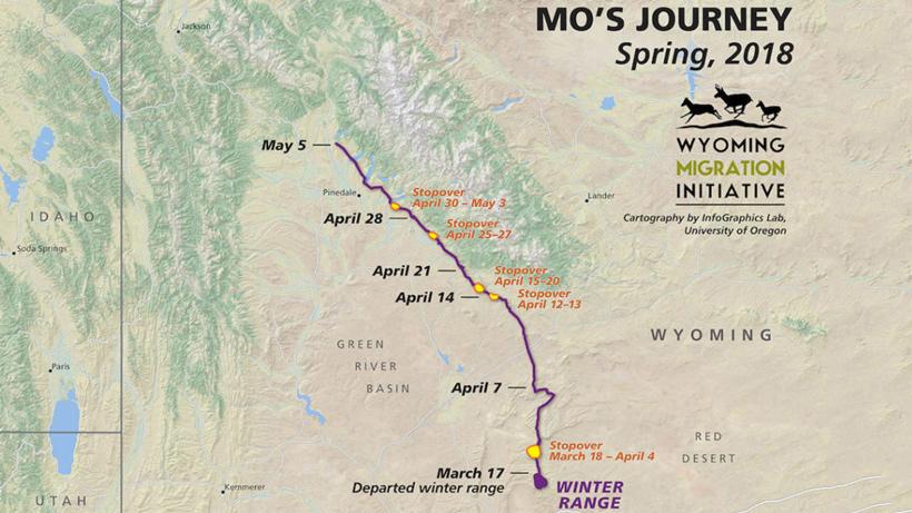 Mo Mule Deer Migration path