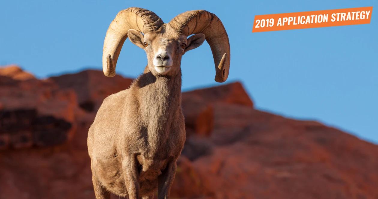 2019 nevada sheep and mountain goat application strategy article 1