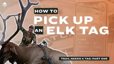 How to easily find an elk tag to hunt this year - Trail needs an elk tag part one