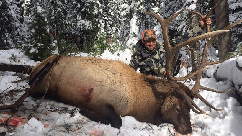 Steve greanias with his wyoming bull elk side view