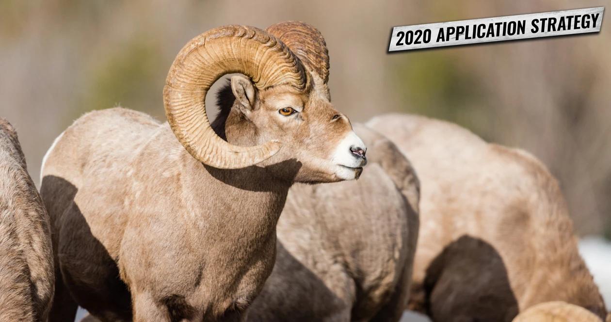New mexico sheep antelope app strategy h1