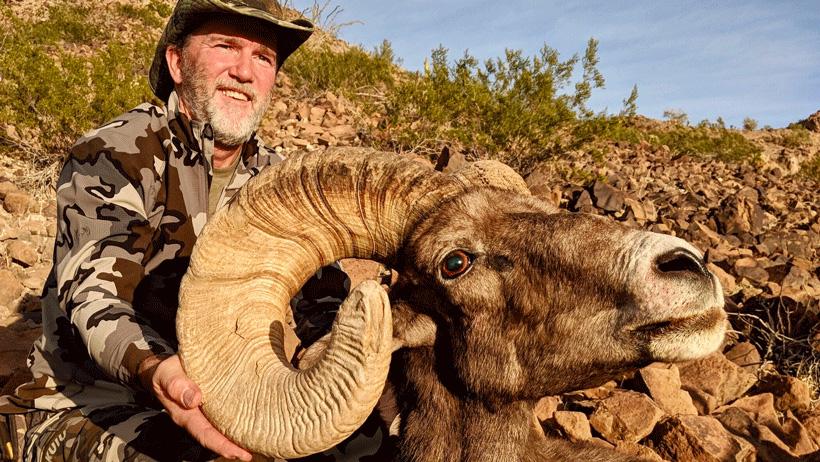 Zach pallister desert bighorn