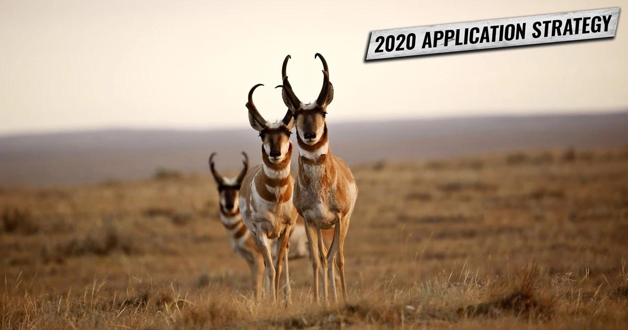 Antelope montana application strategy 2020 h1