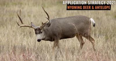 Wyoming deer antelope app strategy h1_0
