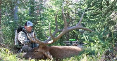 Ron elmer with his 2015 colorado archery bull elk 1_0