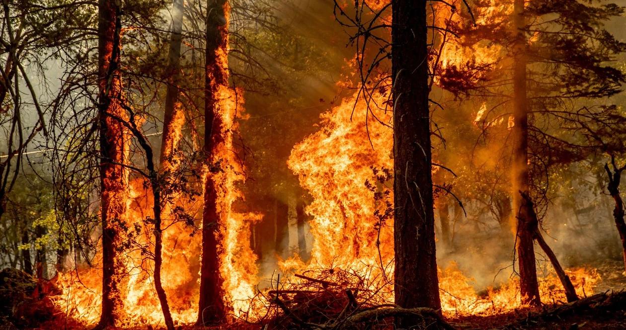 California closing national forests due to wildfires h1_0