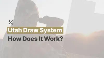 How does the Utah draw system work for hunts, and hunting applications