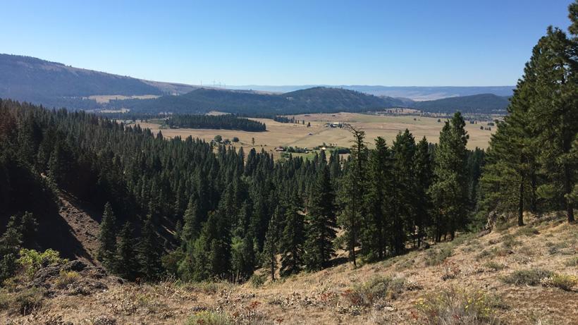 More scenery from a washington elk hunt