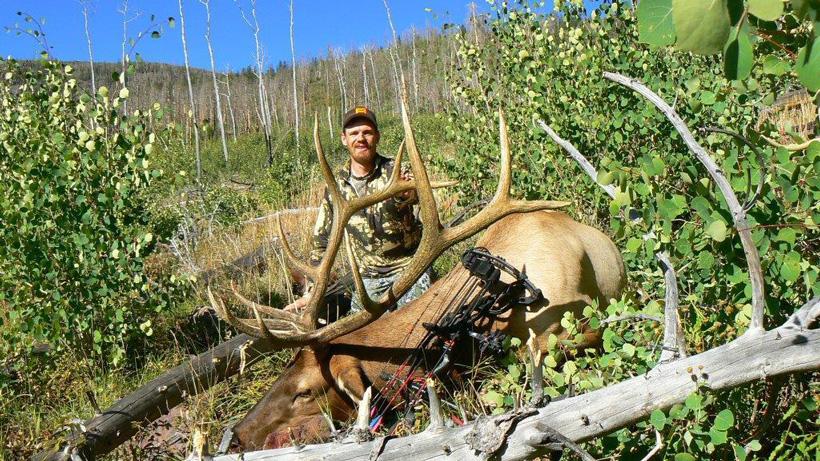 Hazen downward with a utah archery bull elk