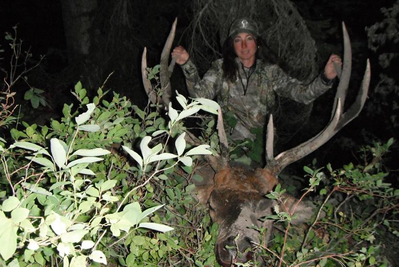 Kim mills 2010 archery bull elk