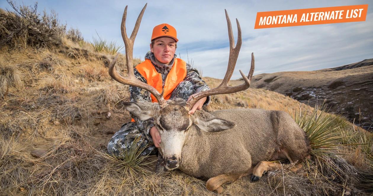 2017 montana mule deer buck 1