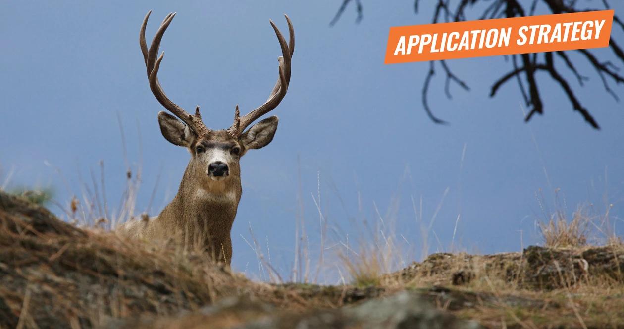 2018 new mexico deer application strategy article 1