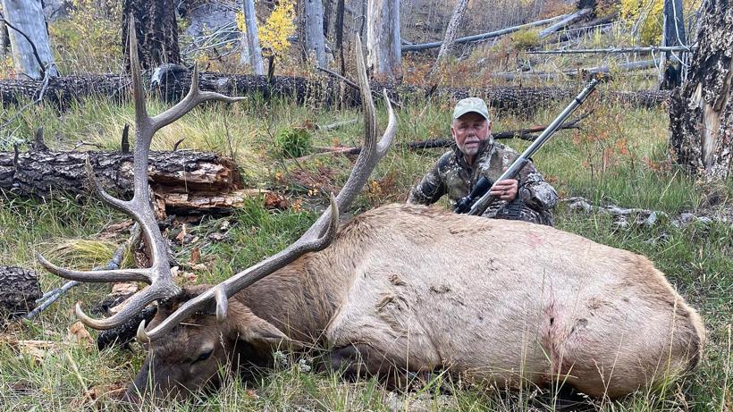 Bull elk taken with jemez mountain outfitters