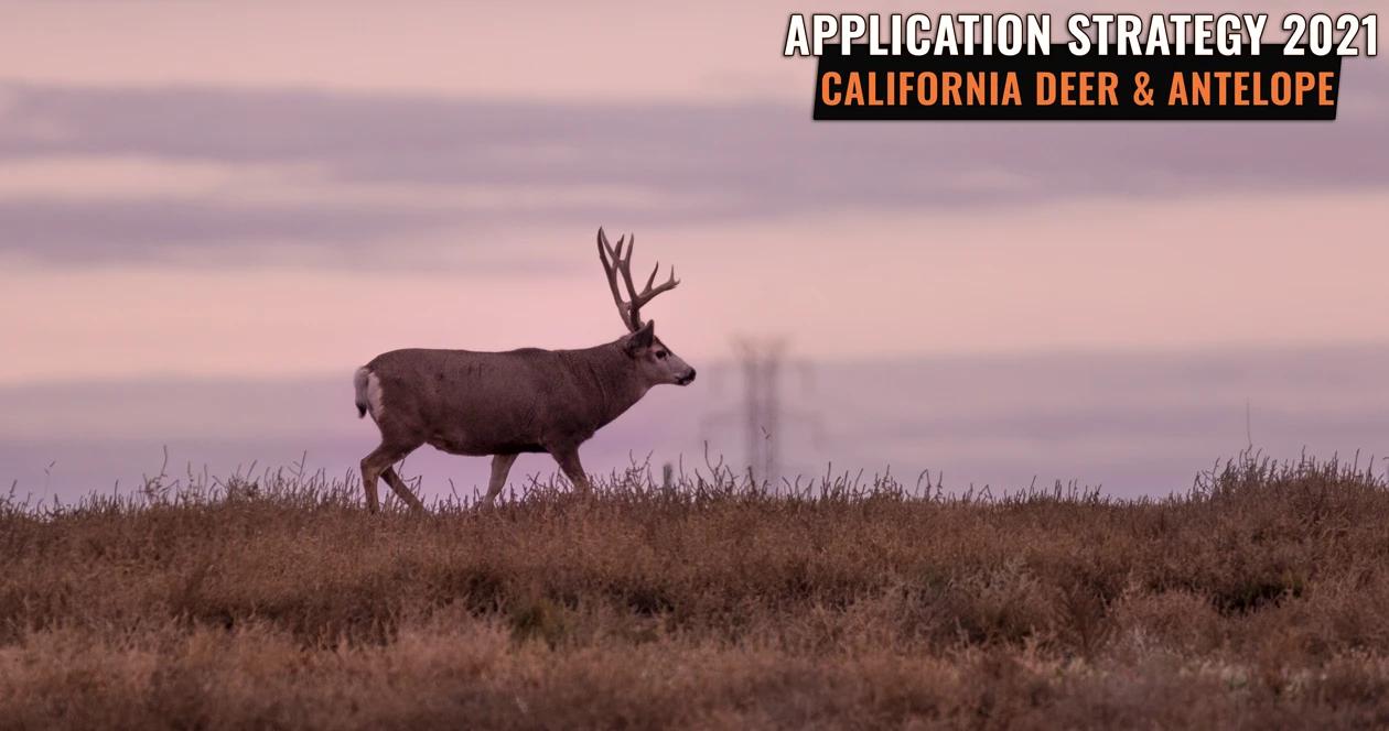 California deer antelope application strategy h1_0