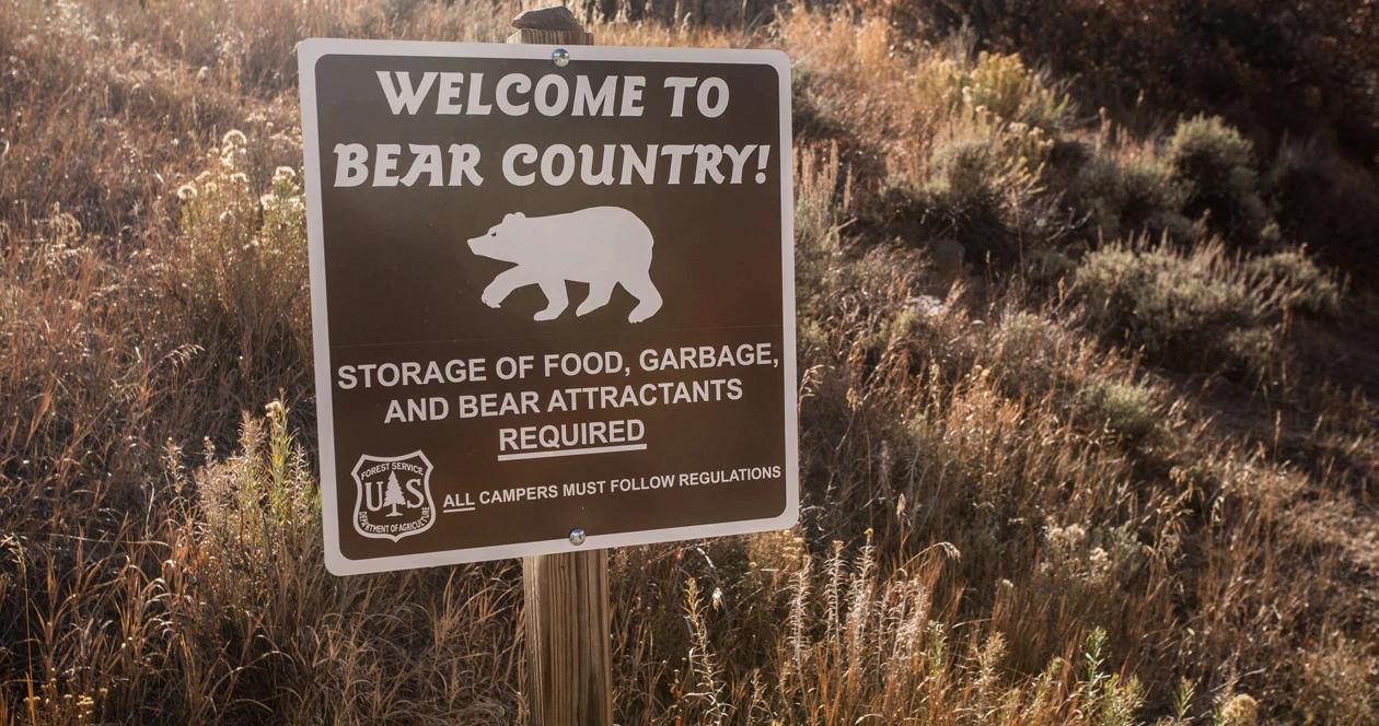 How to hunt in grizzly bear country 1