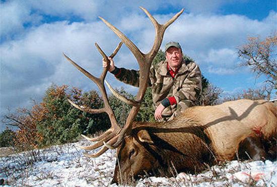 Bull elk taken with milligan brand outfitting