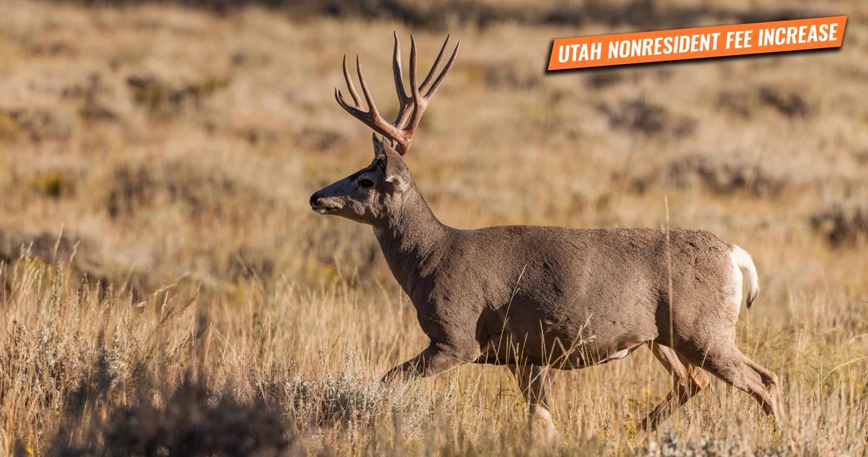 Utah increases nonresident hunting permit tag fees 1
