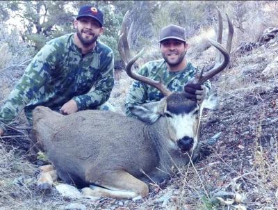 Lorenzo mule deer buck