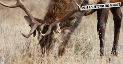2019 arizona leftover elk permits 1