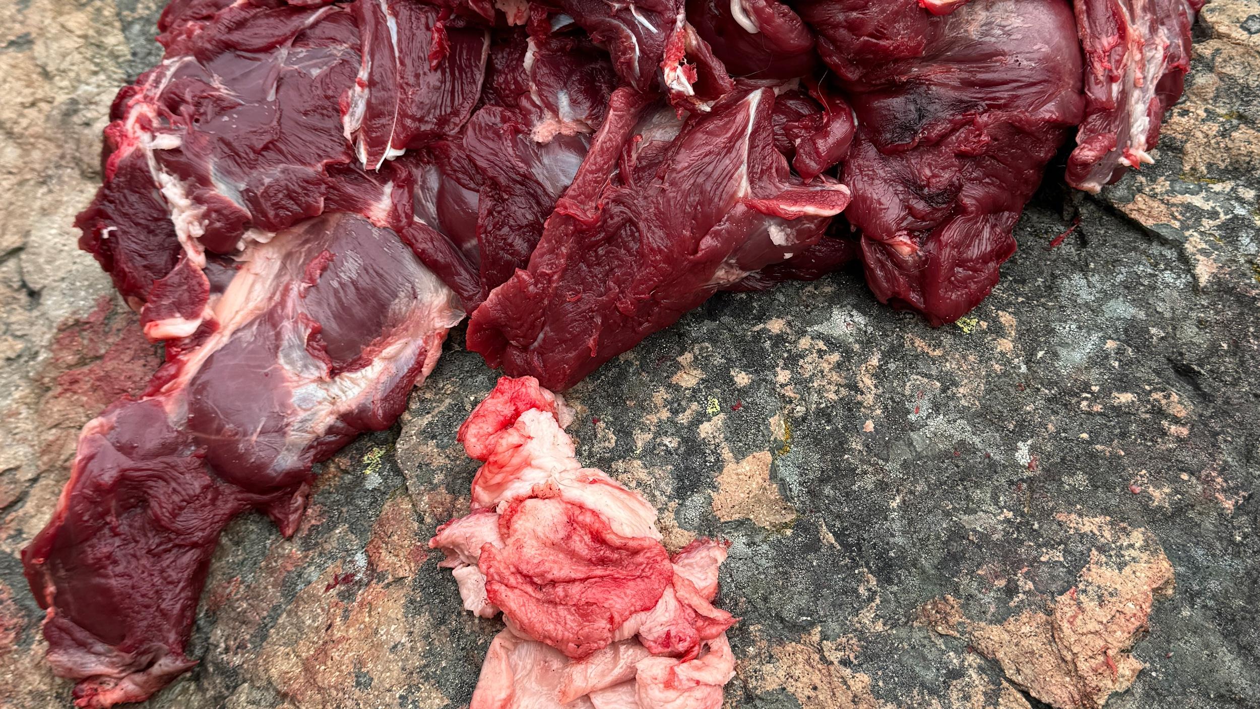 Black bear meat and bear fat