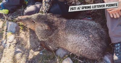 2021 arizona spring leftover hunting permits 1
