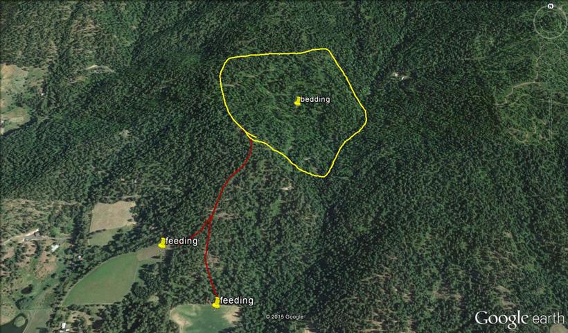 Locating a whitetail ridgeline funnel