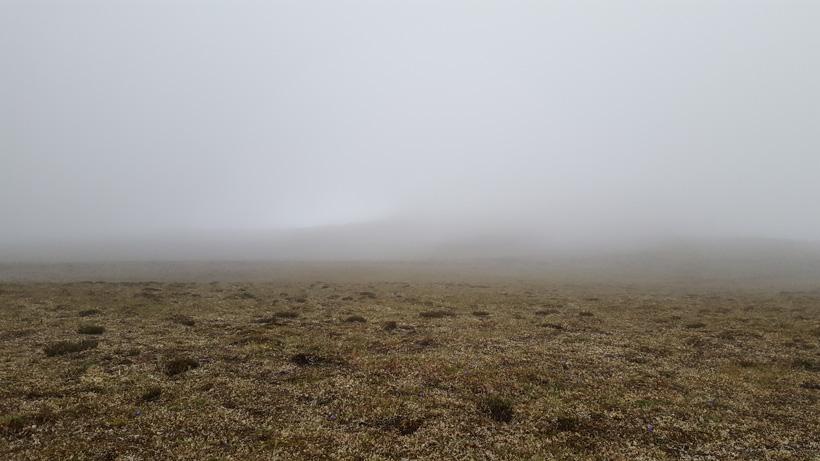 Usual view of fog on Dall sheep hunt
