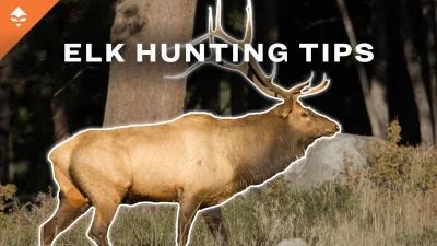 Trail Kreitzer's tips to find the best elk habitat for your next hunt